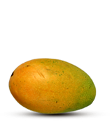 mango-kesar